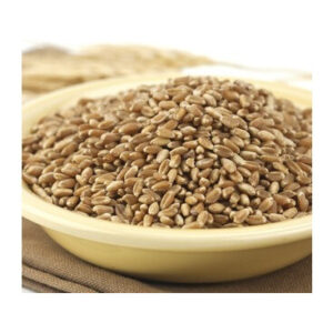 Wheat Montana Spelt Berries 2 lb