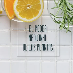 El Poder Medicinal De Las Plantas