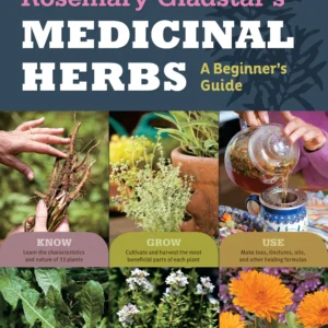 Medicinal Herbs: a Beginner's Guide