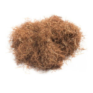 Cornsilk C/S 1 oz