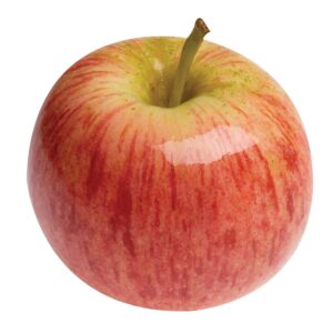Amazing Facts Study Guide 01 - Is There Anything Left You Can Trust?