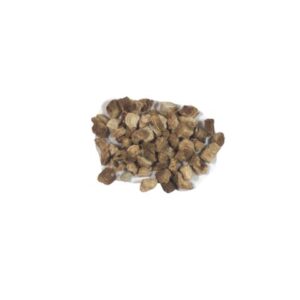 Burdock Root Cut & Sifted, Organic 1 lb