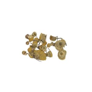 Chamomile Flowers Whole 1 lb