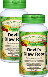 Nature's Wonderland Devil's Claw Root 60 Vcaps 575mg