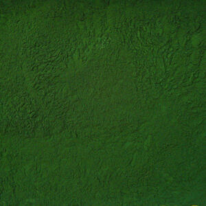Wheatgrass Juice Powder Organic 1 lb