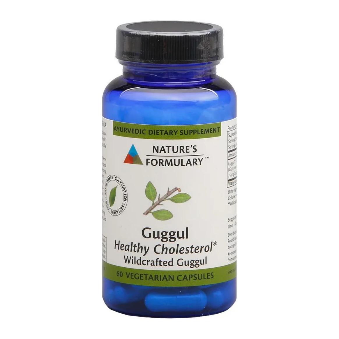 Nature's Formula Guggul 60 Vcaps