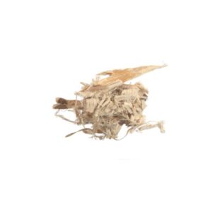 Slippery Elm Bark C/S 1 oz