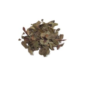 Uva Ursi Leaf Powder WC 1 lb