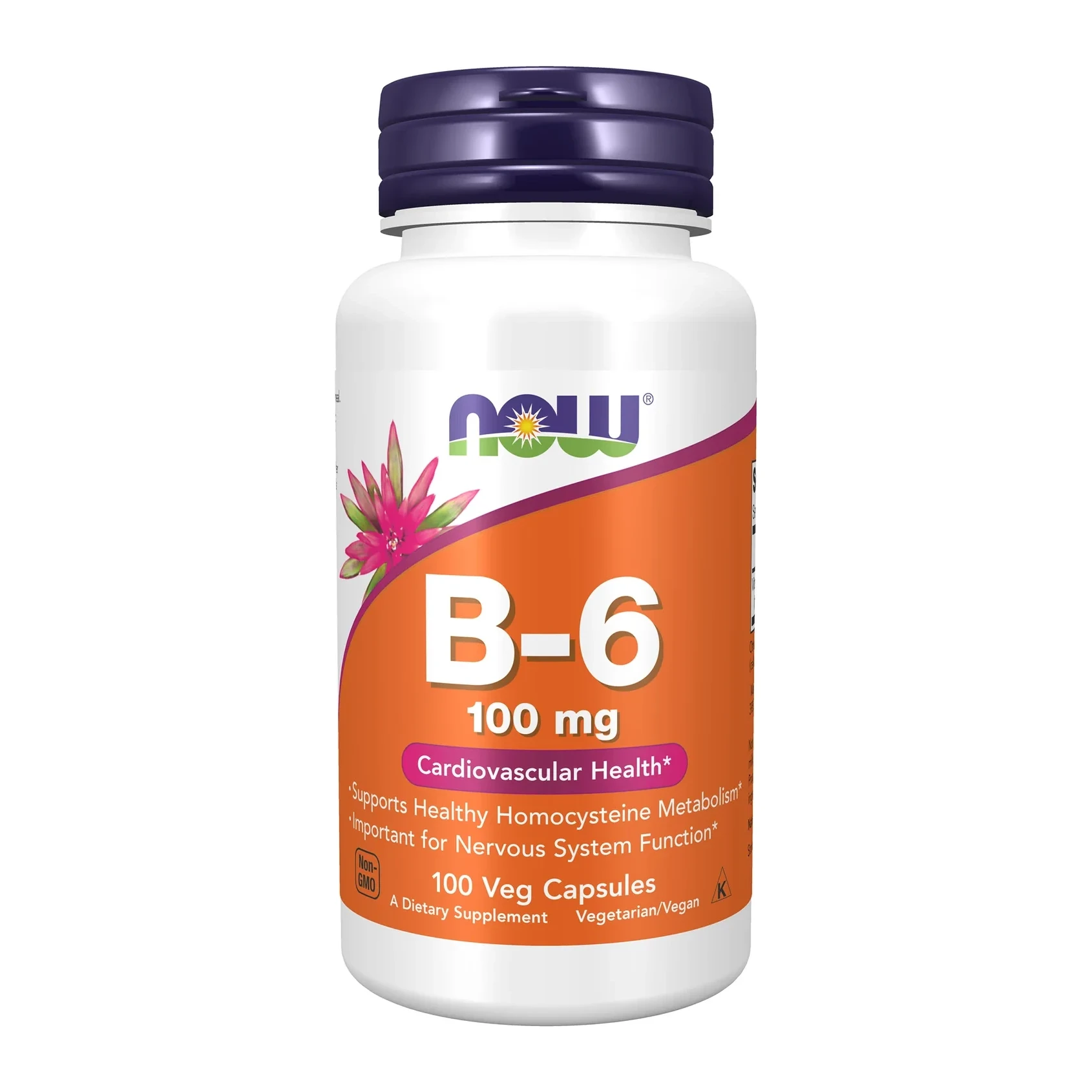 NOW B-6 100mg 100vcaps