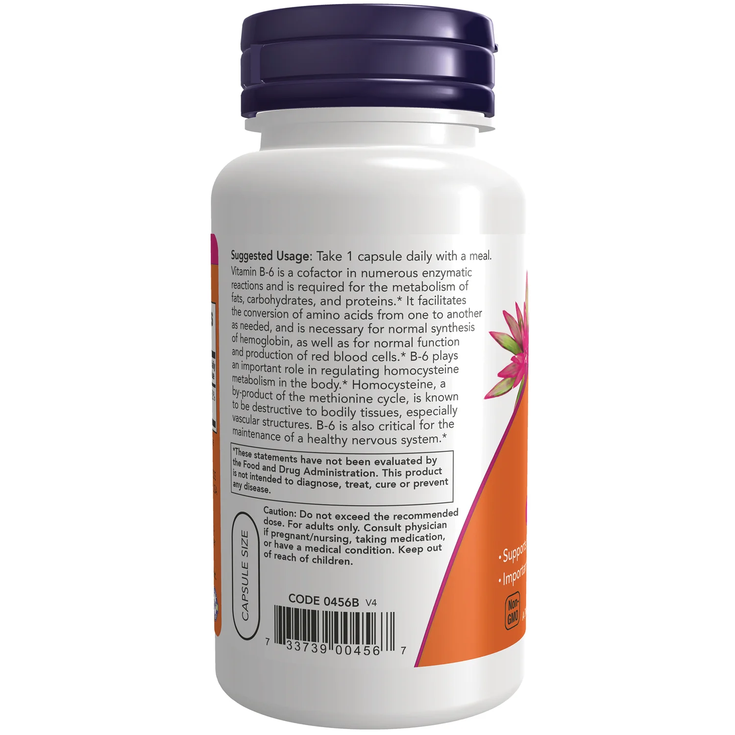 NOW B-6 100mg 100vcaps - Image 3